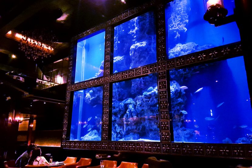 The main aquarium at Luxis in Ebisu
