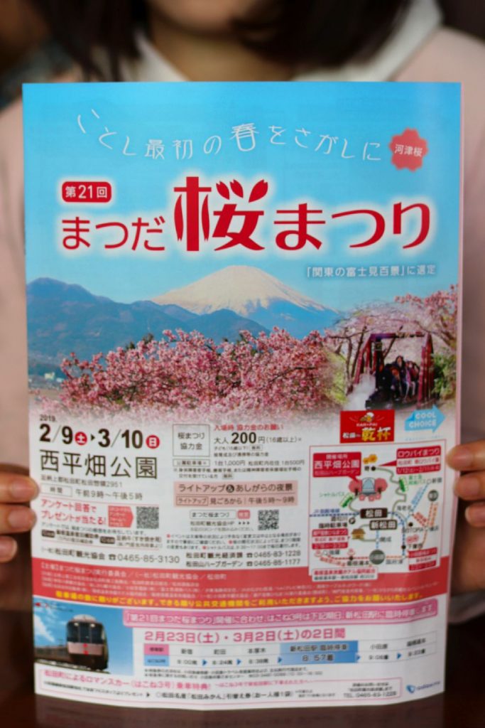 Brochure for the Matsuda Cherry Blossom Festival 2019