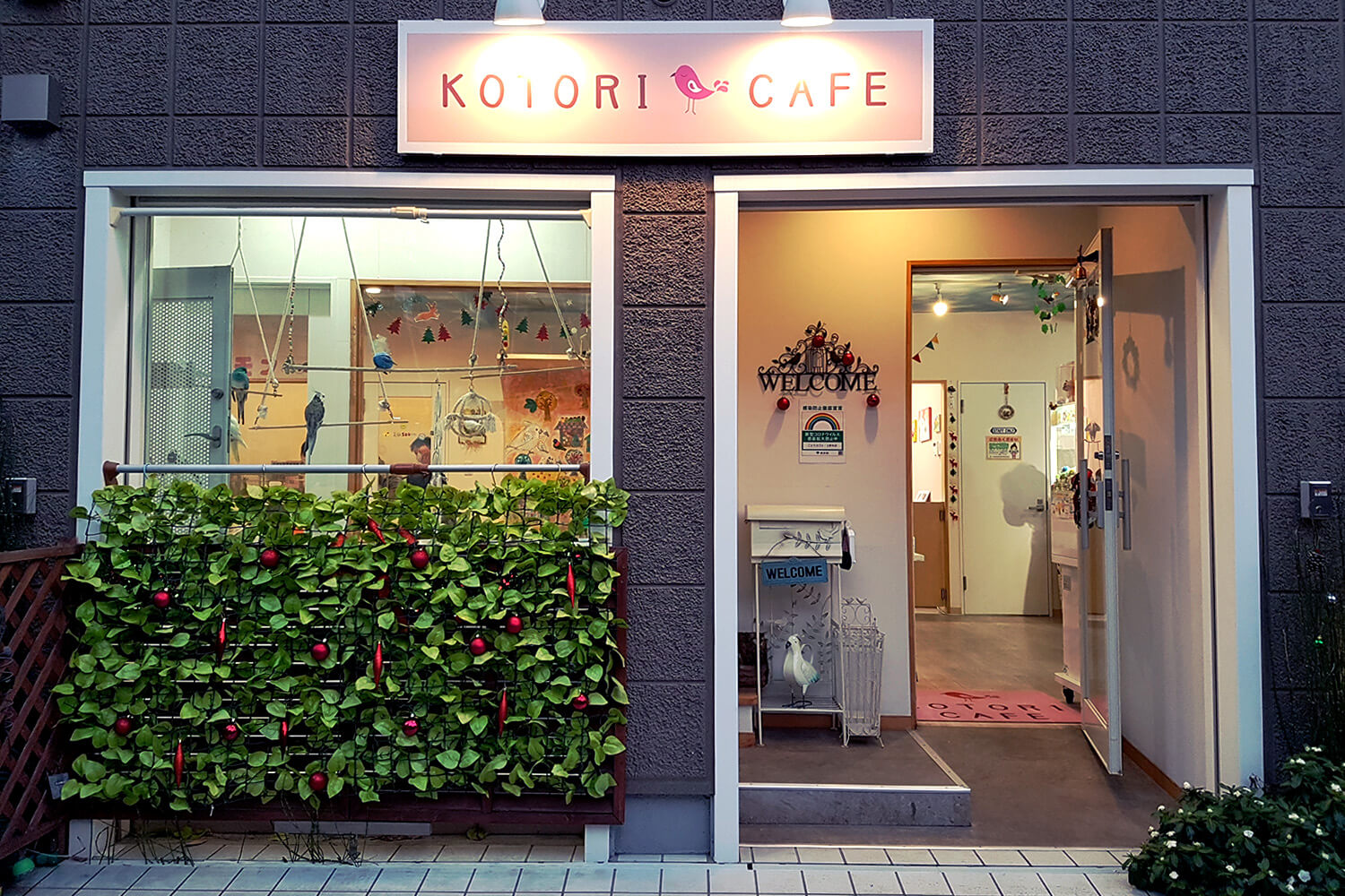 Adorable Bird Cafe in Osaka: Kotori Cafe 