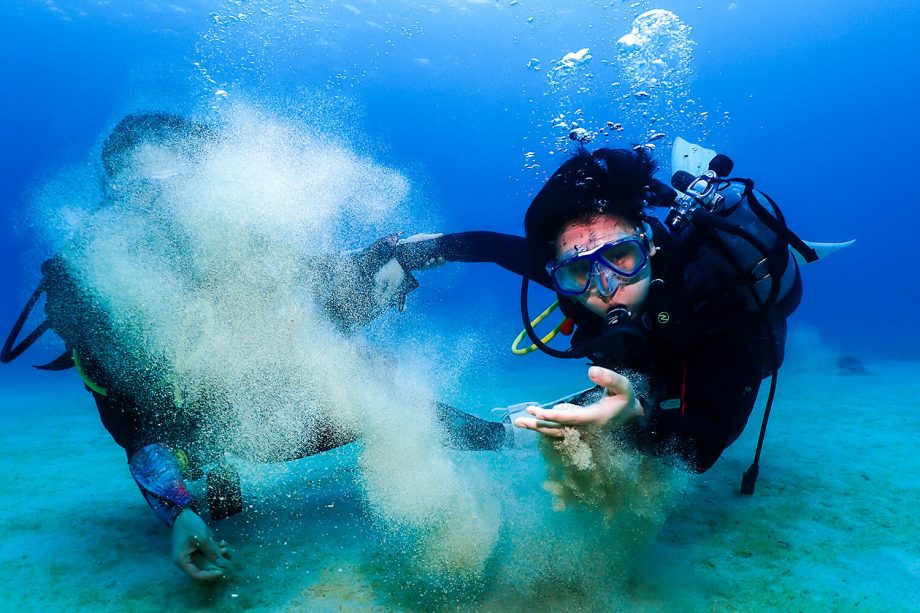 Scuba diving in Gorilla Chop
