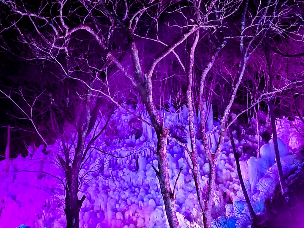 Trees and icicles at Ashigakubo