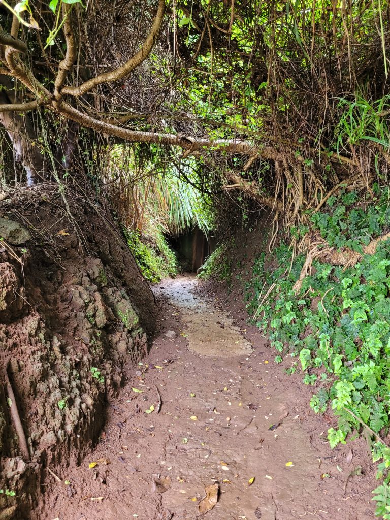 One of the entrances to the Vinh Moc Tunnels