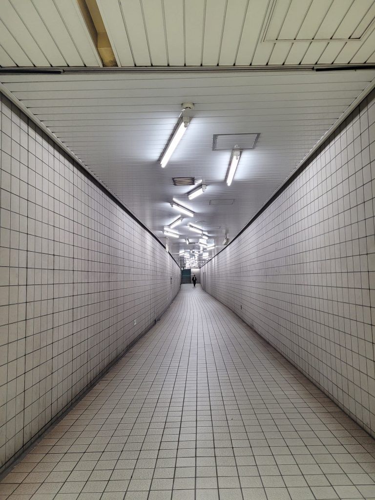 Kiyosumi-Shirakawa Station "abnormal" lights